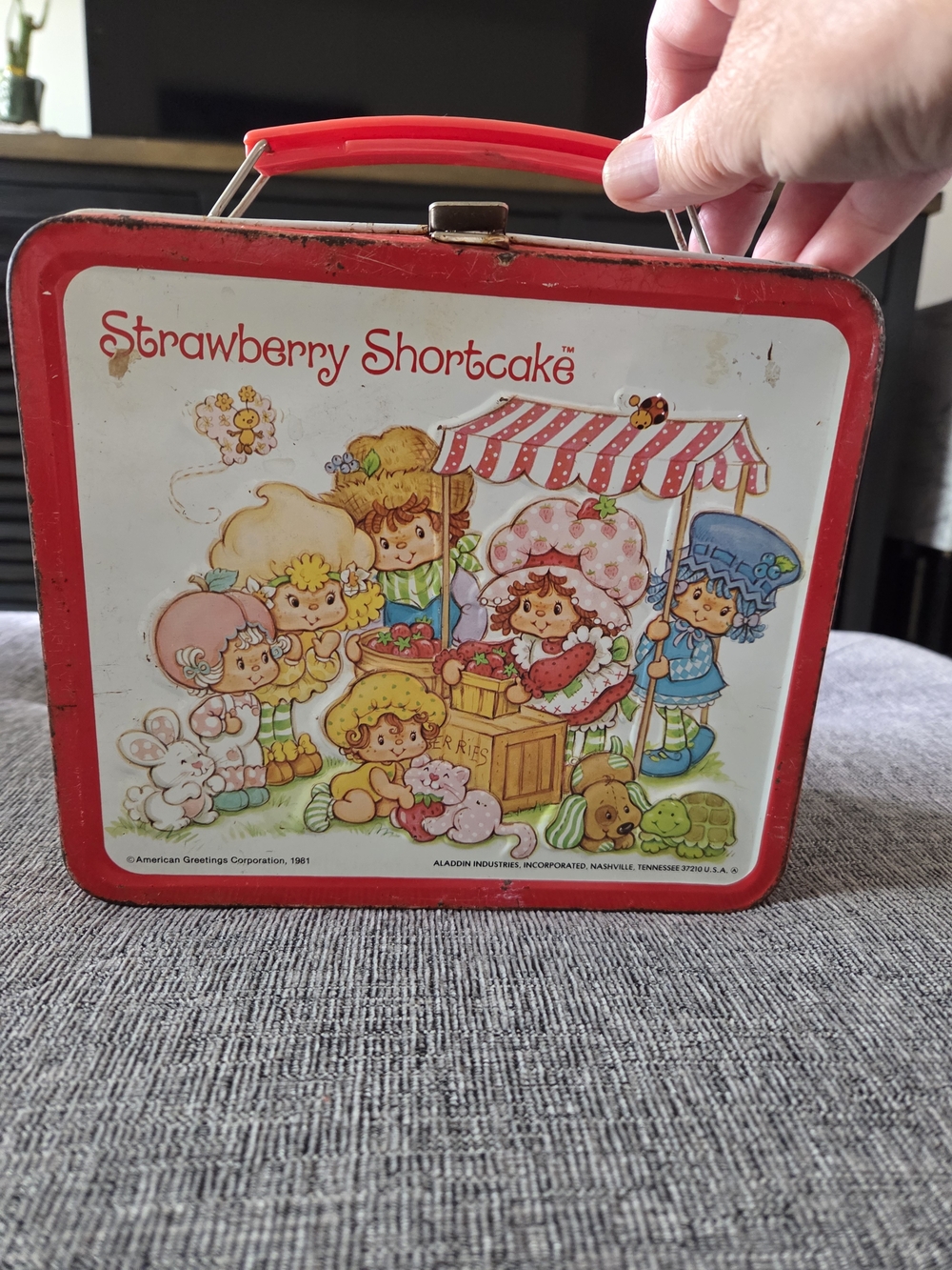 Strawberry Shortcake Metal Lunch Box No Thermos - Vintage 1981 Aladdin
